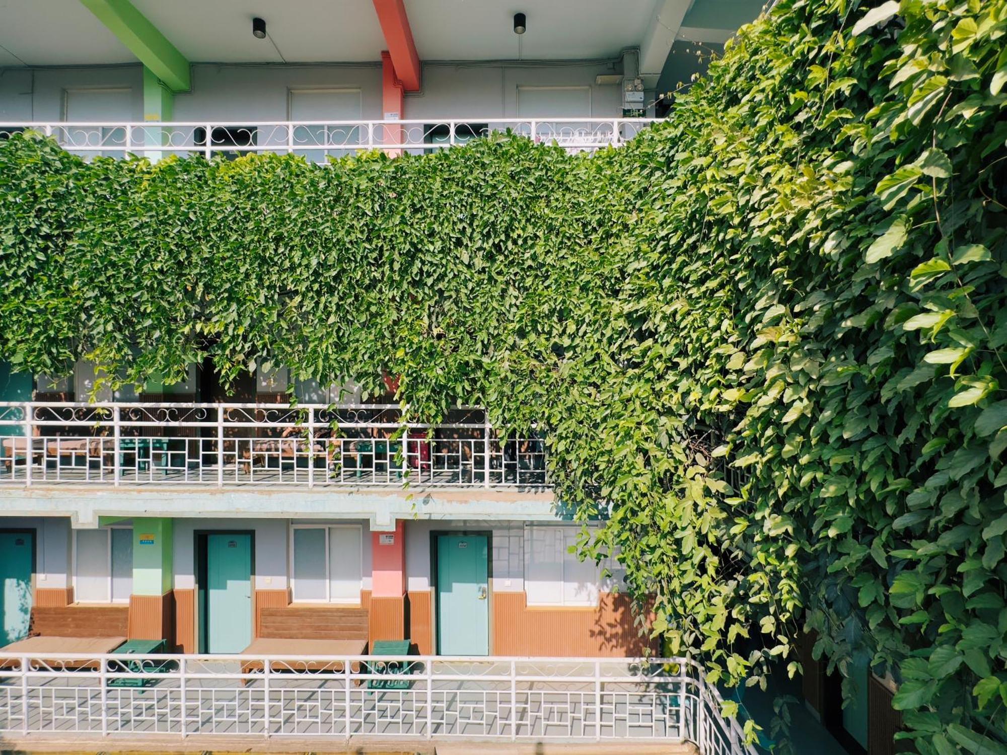 The Cloudland International Youth Hostel Close To The City Center,10 Min Walks To The Subway, Close To The Night Market, Old Street, Green Lake, English-Speaking Service, Free Activity Convenient Payment And Visa Cards Are Accepted Kunming Exterior foto